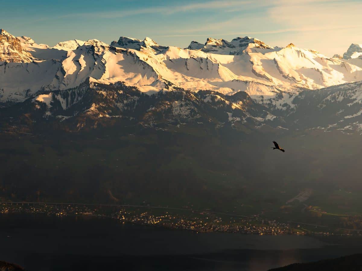 Swiss Alps with eagle