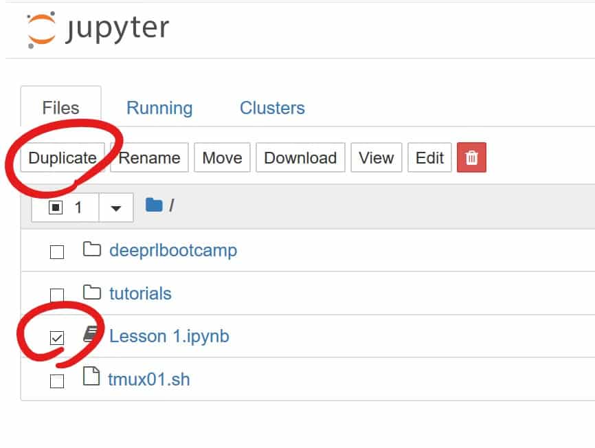 Duplicate Jupyter notebook