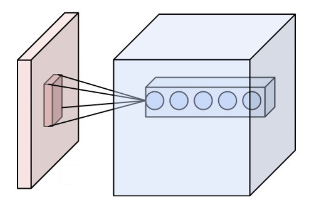 Neurons of a convolutional layer (blue), connected to their receptive field (red). Credit https://en.wikipedia.org/wiki/File:Conv_layer.png