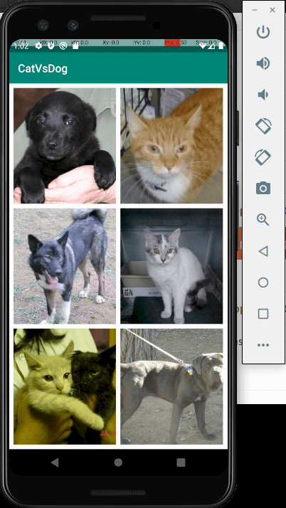 cats vs dogs app running on emulator