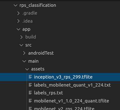 RPS Classification Android App Assets Path